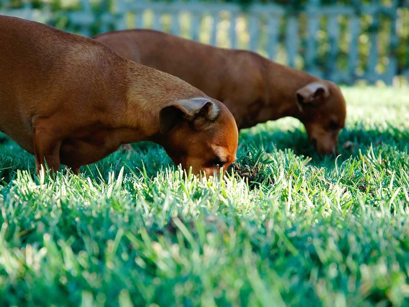 sudoku tricks screenshot 1